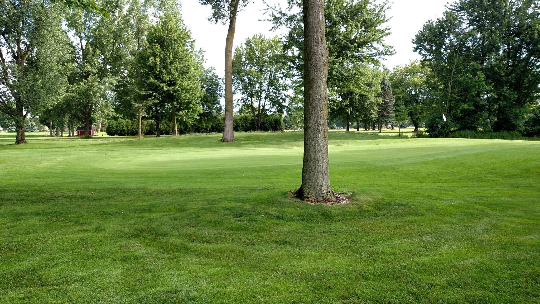Gallery Crestview Golf Course Zeeland MI 49464 Gallery Crestview Golf Course Zeeland MI 49464