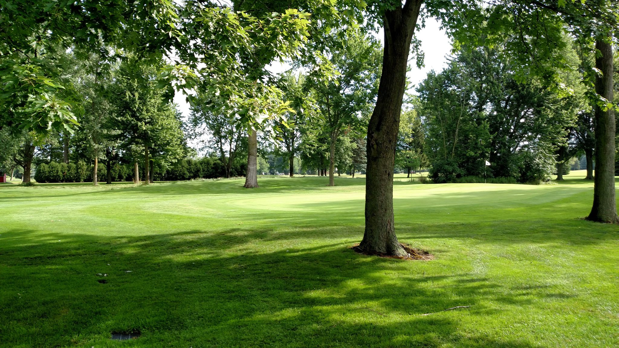 Gallery Crestview Golf Course Zeeland MI 49464