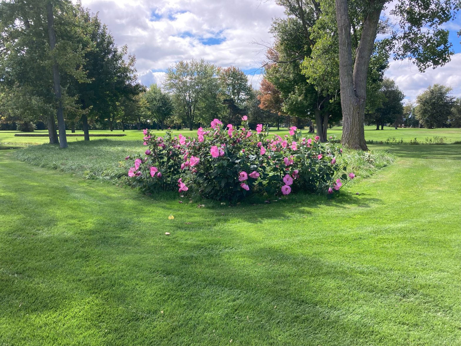 Gallery Crestview Golf Course Zeeland MI 49464